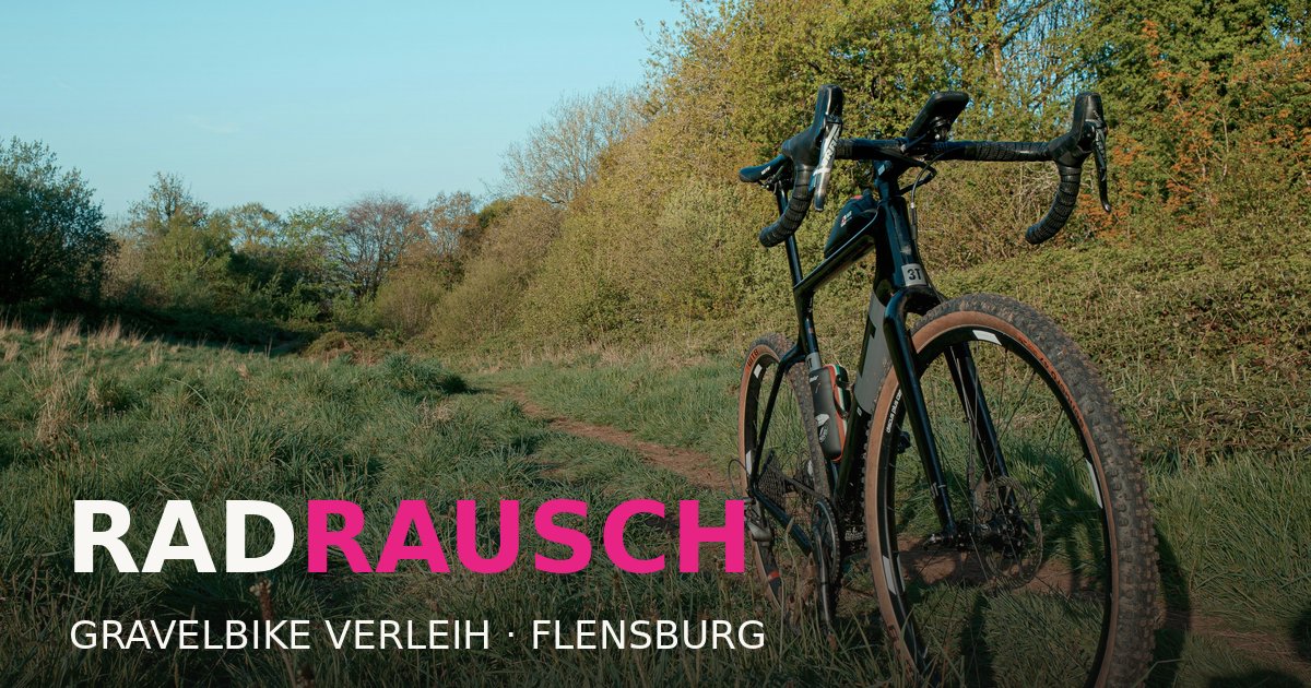 rennrad transporttasche auto ENJOHOS Faltbare Fahrradtasche 29